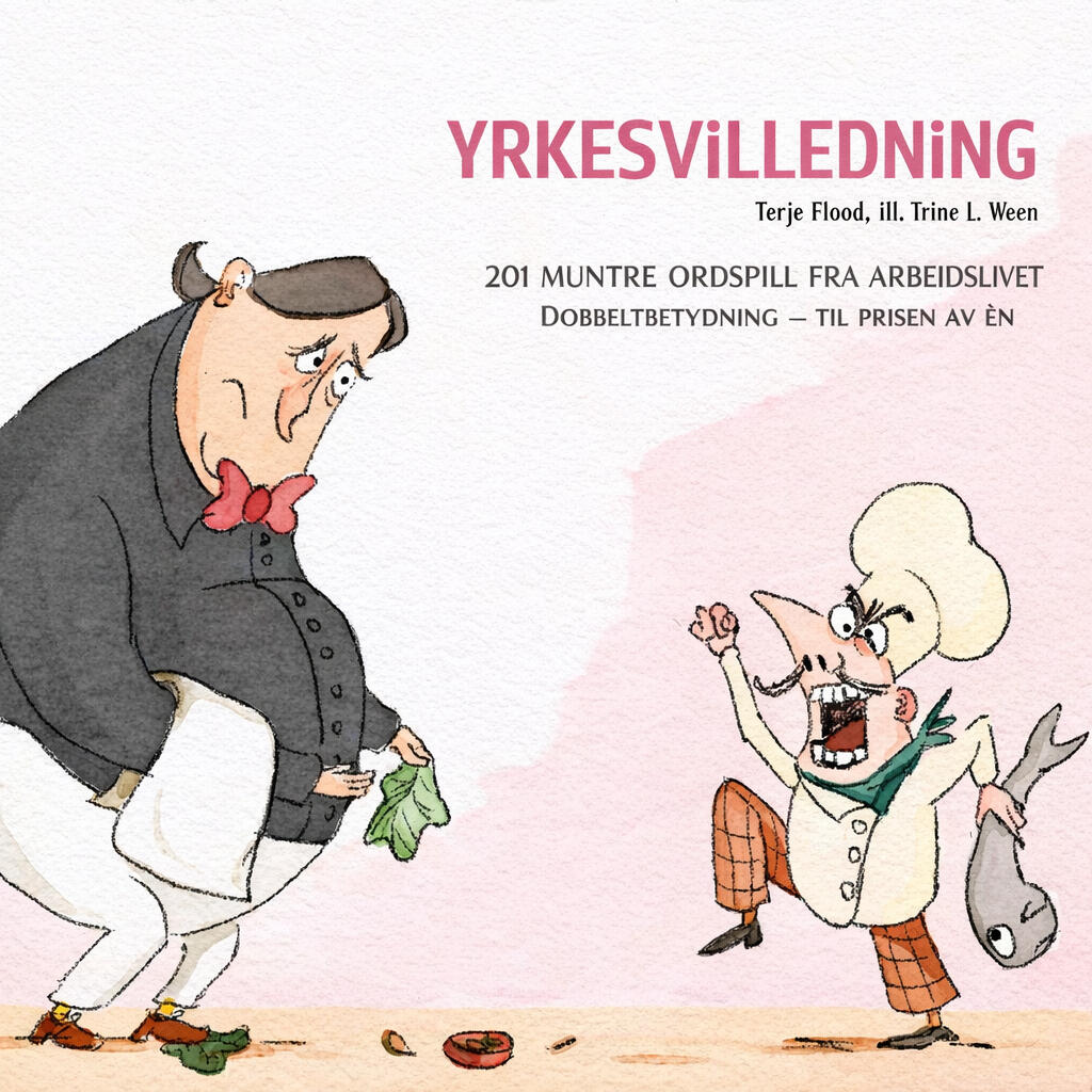 Yrkesvilleding - Forside terje-flood-yrkesvilledning.jpg